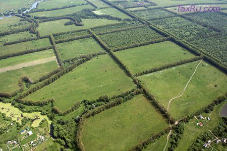 Земли сельхозназначения-налоговая ставка земельного налога