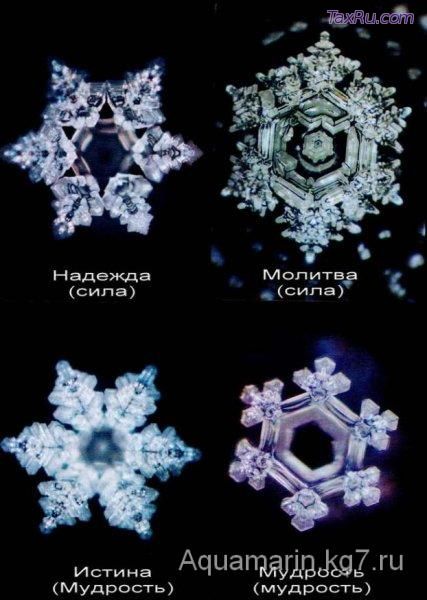 Сила крестного знамения доказана на строгих научных опытах