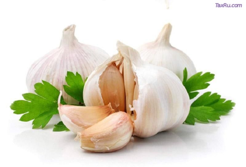 Чеснок