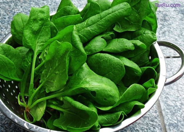 Зеленый салат, шпинат и соль