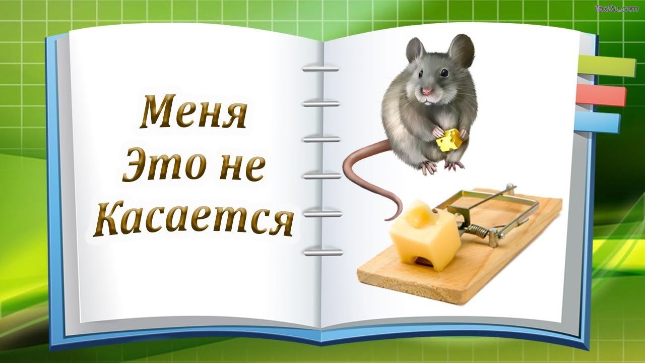 Мышь и мышеловка