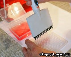 Ученые изобрели "эликсир жизни"