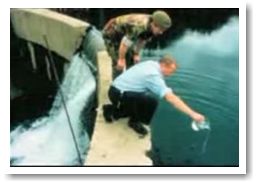 картинка «Большой зубной обман»