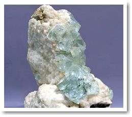 картинка «Большой зубной обман»