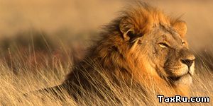 Атрибуты и ритуалы реальной власти