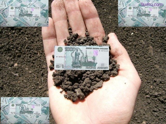 Расчет земельного налога ИП