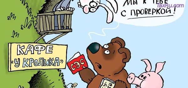 Реестр проверок