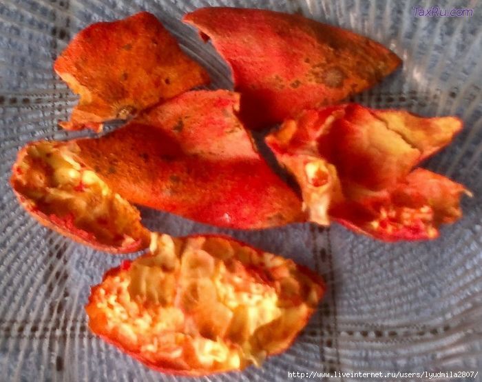 Шкорки граната