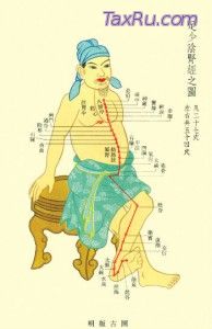 Канал Почек