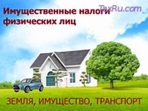 Имущественные налоги