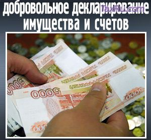 Добровольное декларирование имущества