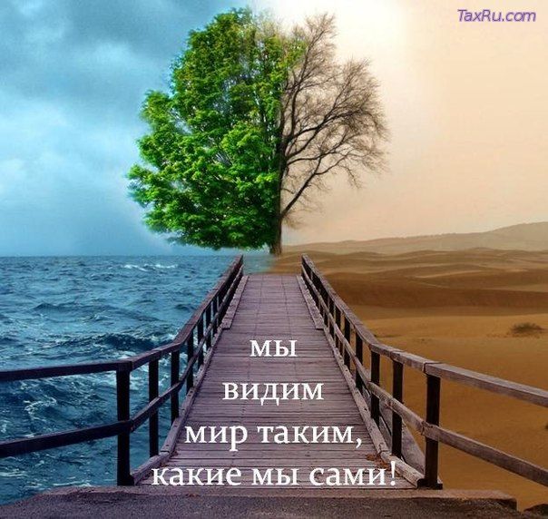 Мы видим то что мы есть