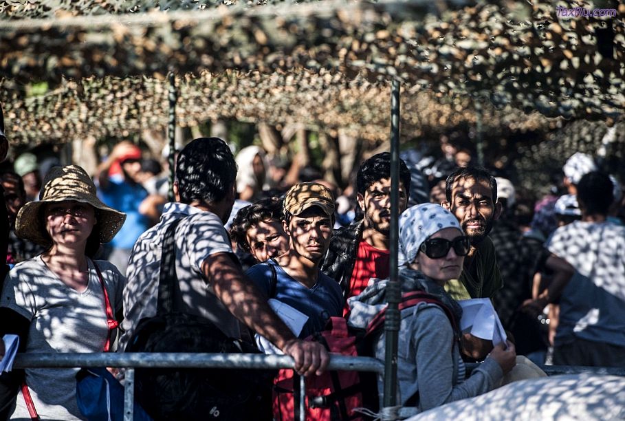 Беженцы в Европе