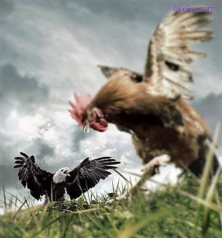 Петух и Орел