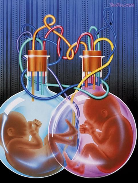 Эмбрионы в пробирке