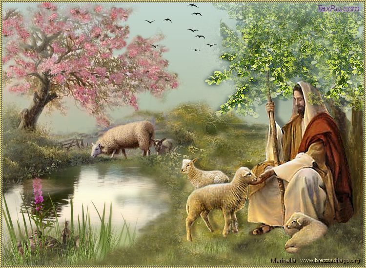 Лекарство от греха