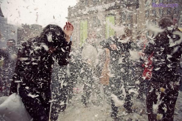 Перья по ветру