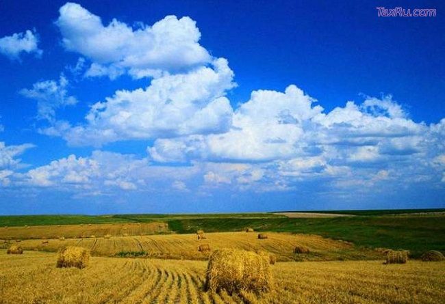 Пониженная ставка земельного налога