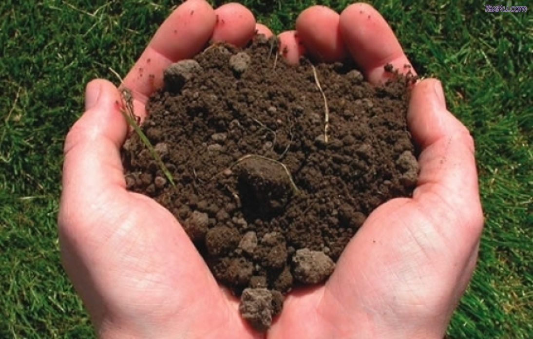 Налог на сельхозземли