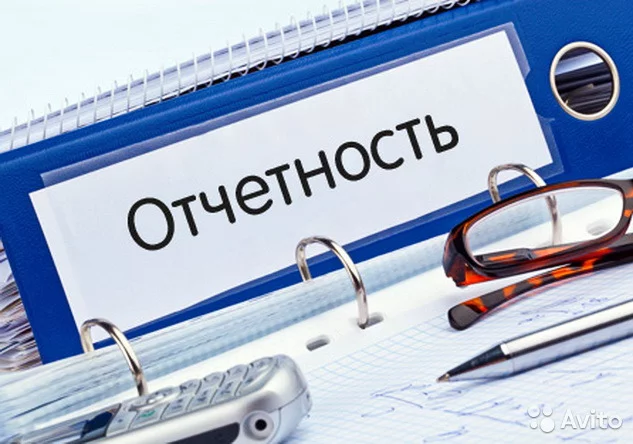 Отчетность