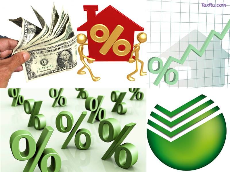 13 процентов