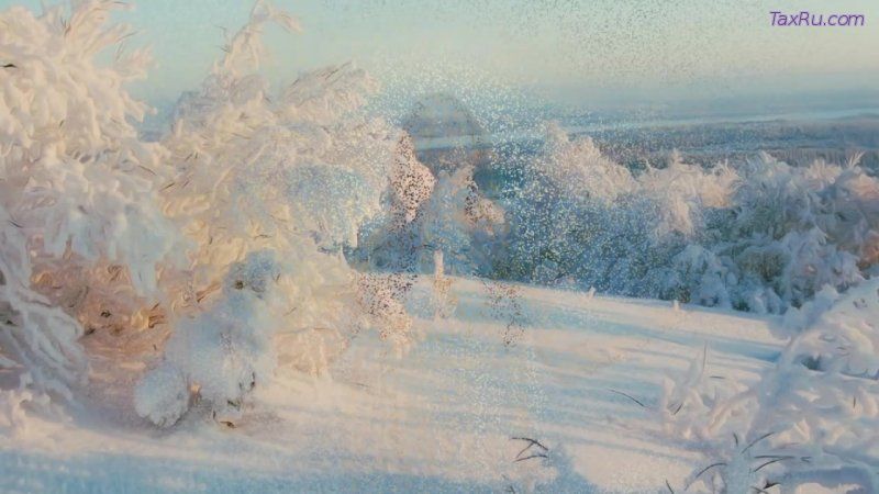 "Идут белые снеги"