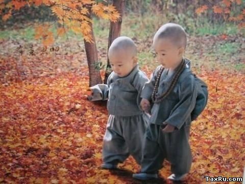 Тибет-дети идут на урок