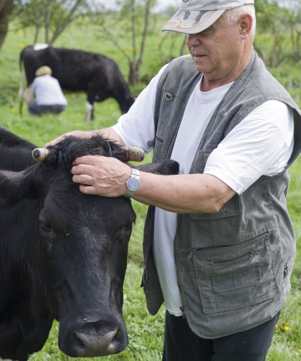 Забой скота на домашних бойнях запрещен