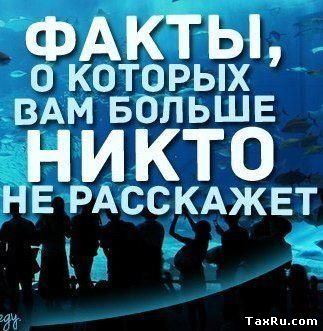 Факты