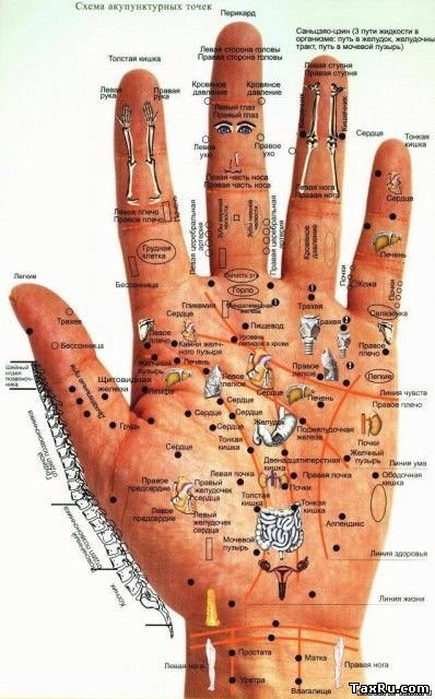 Точки на кисти