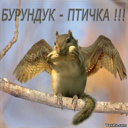 КАК ИЗБЕЖАТЬ ОБВИНЕНИЯ В КЛЕВЕТЕ. ПРАКТИЧЕСКОЕ ПОСОБИЕ